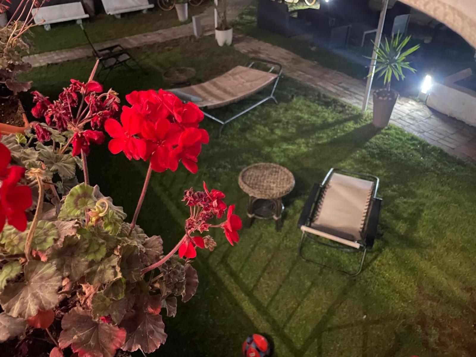 Solaris Paestum B&B 외부 사진